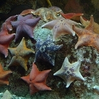 2009.07.03-zoo-070.JPG