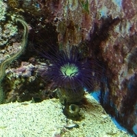 2009.07.03-zoo-073.JPG