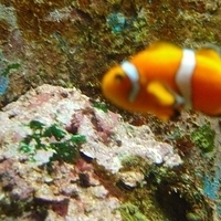 2009.07.03-zoo-075.JPG