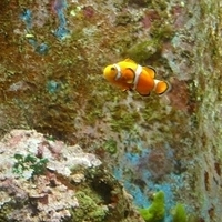 2009.07.03-zoo-077.JPG