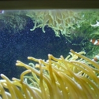 2009.07.03-zoo-078.JPG