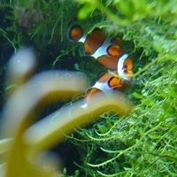 2009.07.03-zoo-080.JPG
