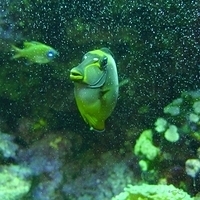 2009.07.03-zoo-082.JPG