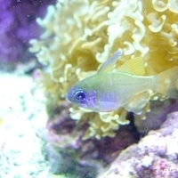 2009.07.03-zoo-083.JPG
