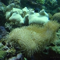 2009.07.03-zoo-084.JPG