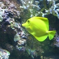 2009.07.03-zoo-085.JPG