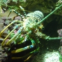 2009.07.03-zoo-086.JPG