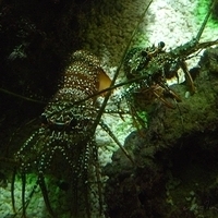 2009.07.03-zoo-087.JPG
