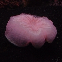 2009.07.03-zoo-089.JPG