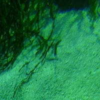 2009.07.03-zoo-090.JPG
