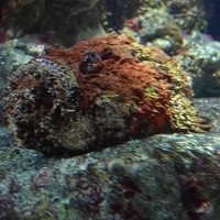 2009.07.03-zoo-092.JPG