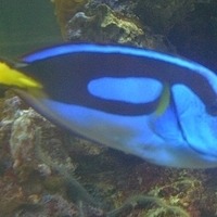 2009.07.03-zoo-093.JPG