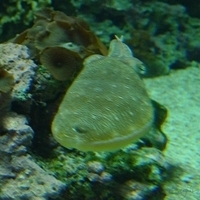 2009.07.03-zoo-095.JPG