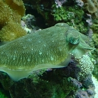 2009.07.03-zoo-096.JPG