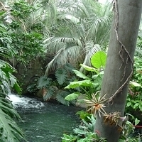 2009.07.03-zoo-099.JPG