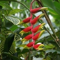 2009.07.03-zoo-104.JPG