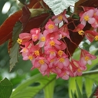 2009.07.03-zoo-105.JPG