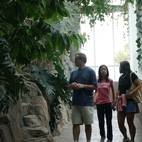 2009.07.03-zoo-106.JPG