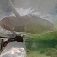 2009.07.03-zoo-109.JPG
