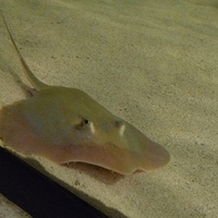 2009.07.03-zoo-110.JPG