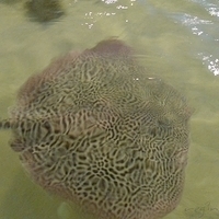 2009.07.03-zoo-112.JPG