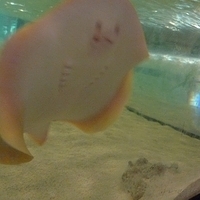 2009.07.03-zoo-114.JPG