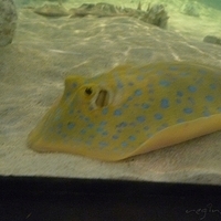 2009.07.03-zoo-115.JPG