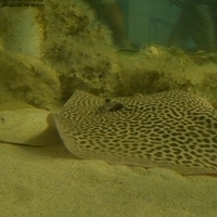 2009.07.03-zoo-118.JPG