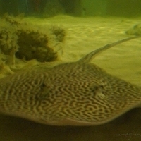 2009.07.03-zoo-119.JPG