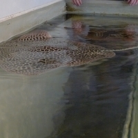 2009.07.03-zoo-120.JPG