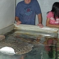 2009.07.03-zoo-127.JPG