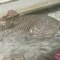 2009.07.03-zoo-130.JPG