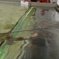 2009.07.03-zoo-133.JPG