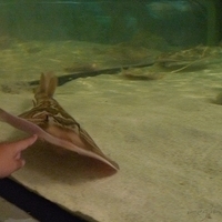 2009.07.03-zoo-134.JPG