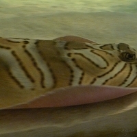 2009.07.03-zoo-135.JPG