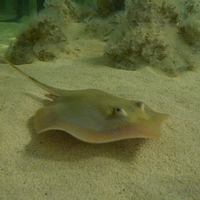 2009.07.03-zoo-136.JPG