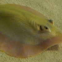 2009.07.03-zoo-137.JPG