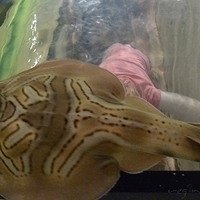 2009.07.03-zoo-138.JPG