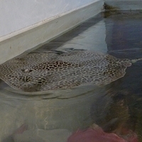 2009.07.03-zoo-139.JPG