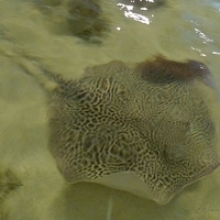 2009.07.03-zoo-140.JPG