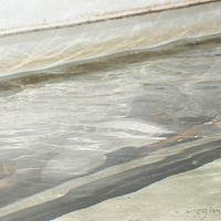 2009.07.03-zoo-145.JPG