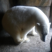 2009.07.03-zoo-149.JPG