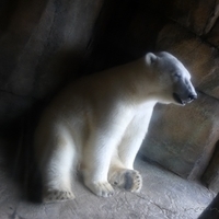 2009.07.03-zoo-150.JPG