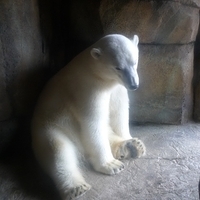 2009.07.03-zoo-151.JPG