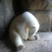 2009.07.03-zoo-152.JPG