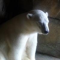 2009.07.03-zoo-153.JPG