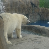 2009.07.03-zoo-154.JPG