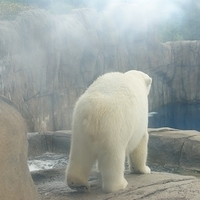 2009.07.03-zoo-155.JPG