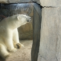 2009.07.03-zoo-156.JPG