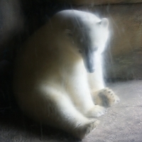 2009.07.03-zoo-157.JPG